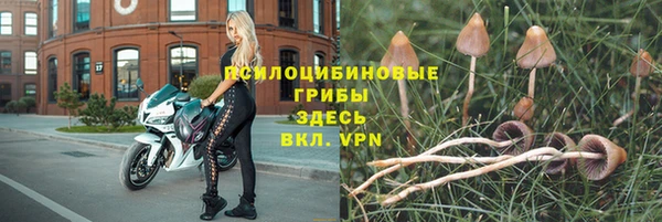 хмурый Балахна