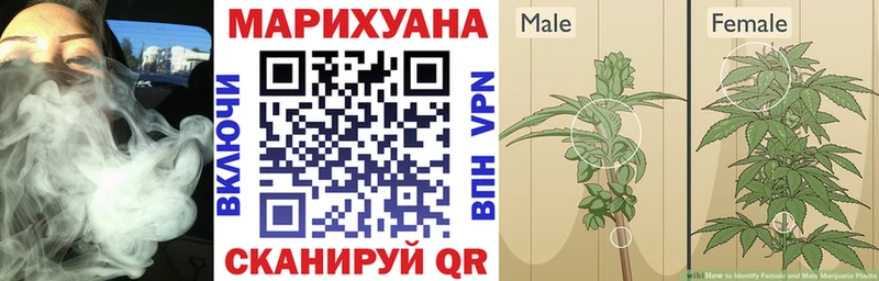 Шишки марихуана OG Kush  что такое   Малмыж 